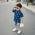 Kali Shirt for Boys | Pure cotton poplin