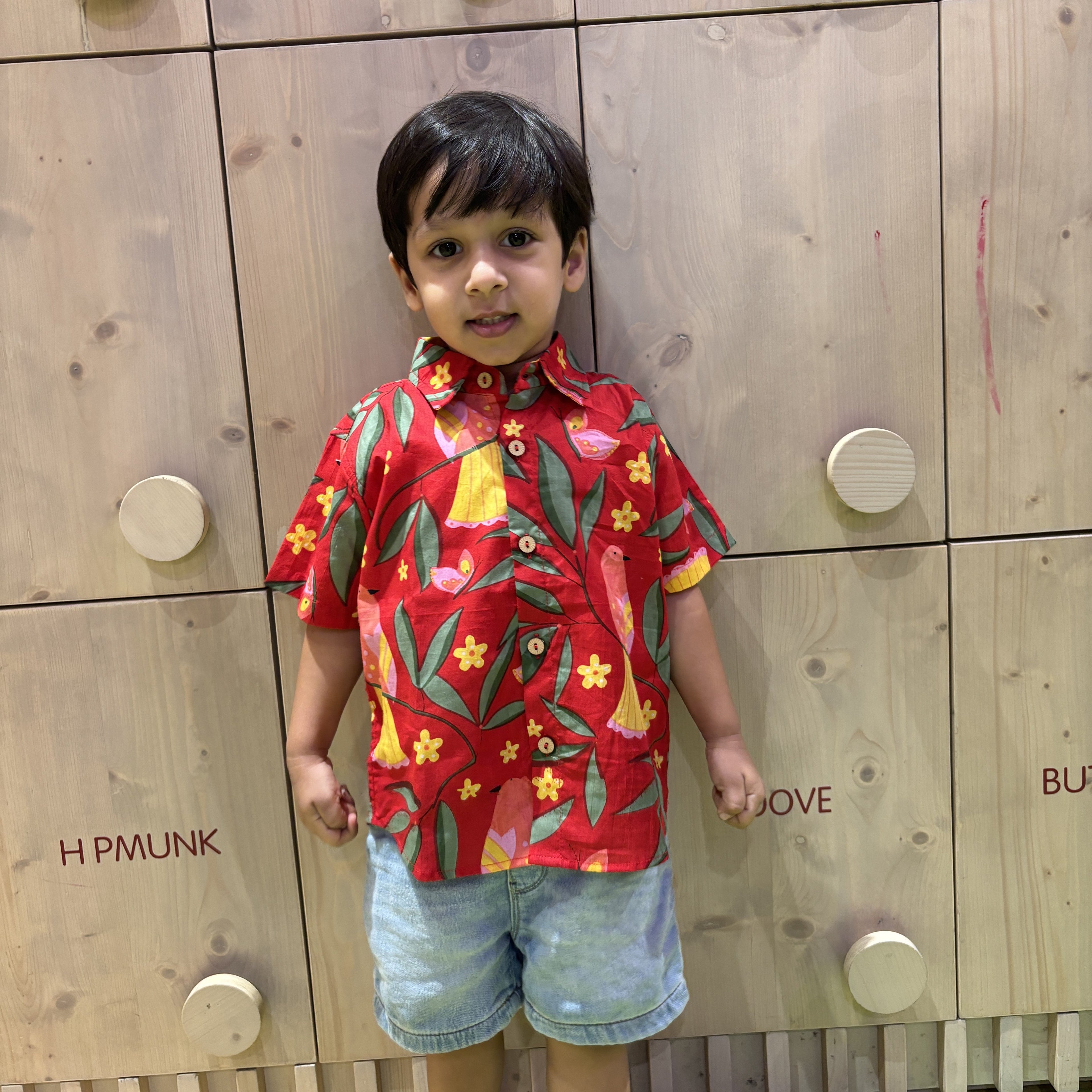 Holiday Shirt for Boys| Red Bird| Pure Cotton