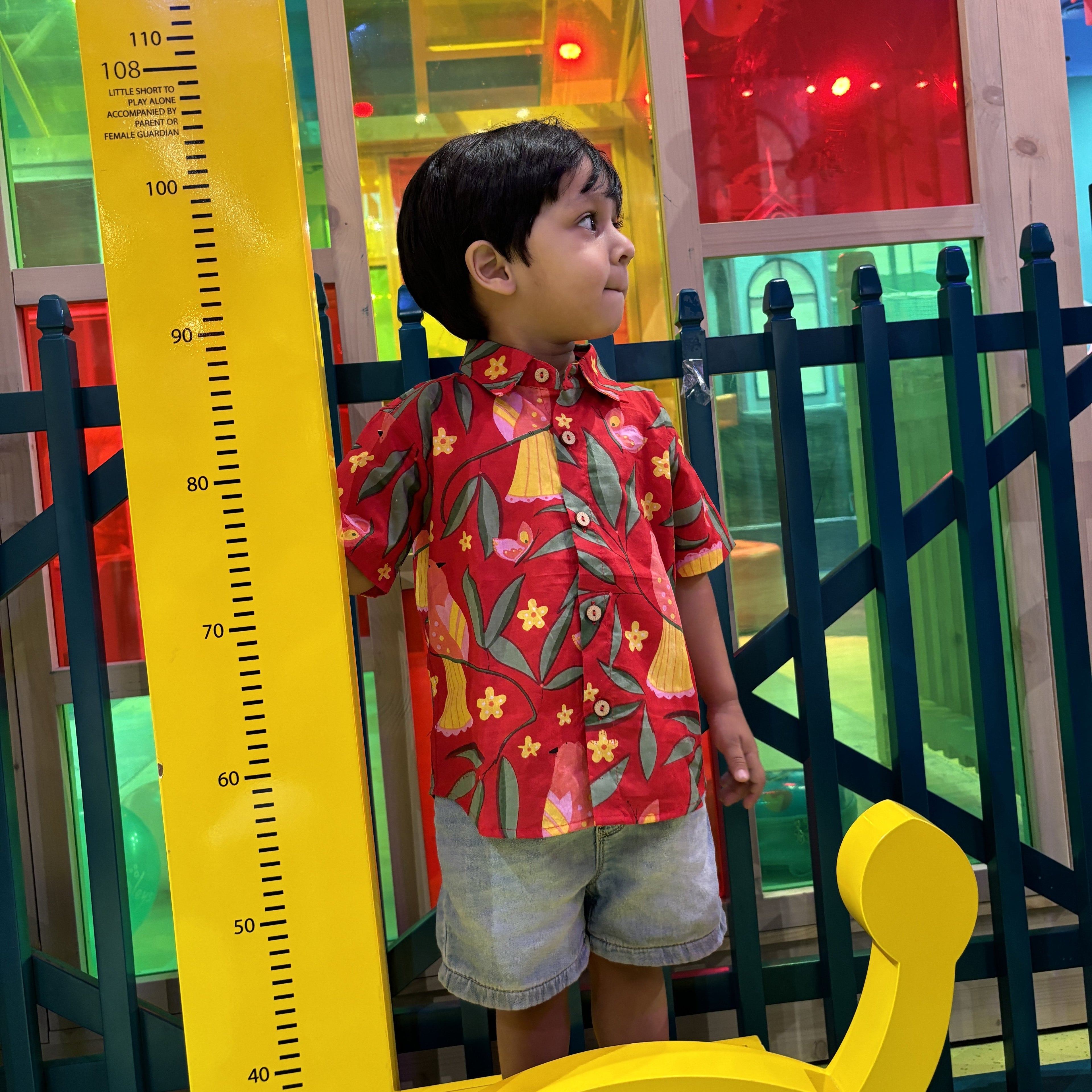 Holiday Shirt for Boys| Red Bird| Pure Cotton